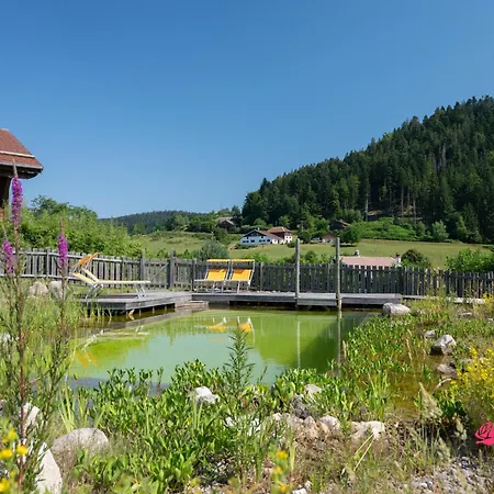 Familial 9 Personnes Avec Sauna Privatif Et Piscine Naturelle - Le Domaine Des Fleurs