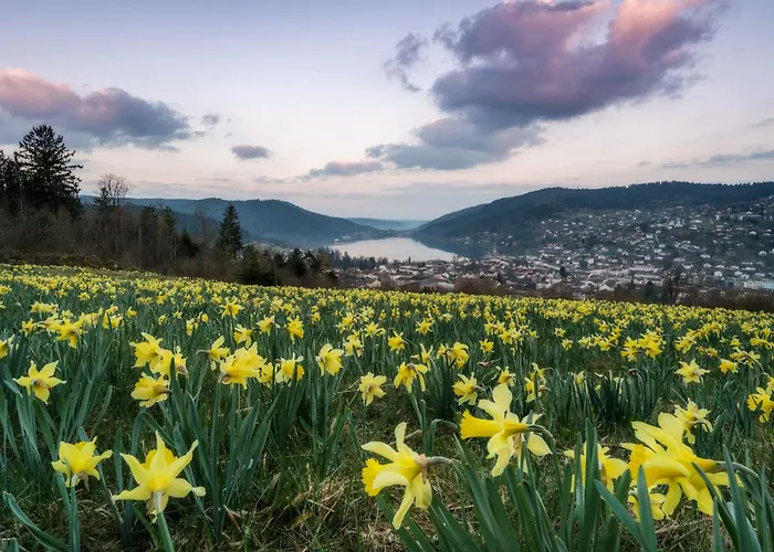 Le Domaine Des Fleurs - La Reine Des Pres Horská chata