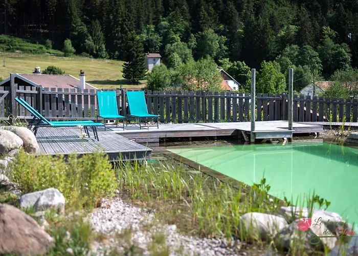 La Reine Des Pres Sauna Piscine Le Domaine Des Fleurs Gerardmer
